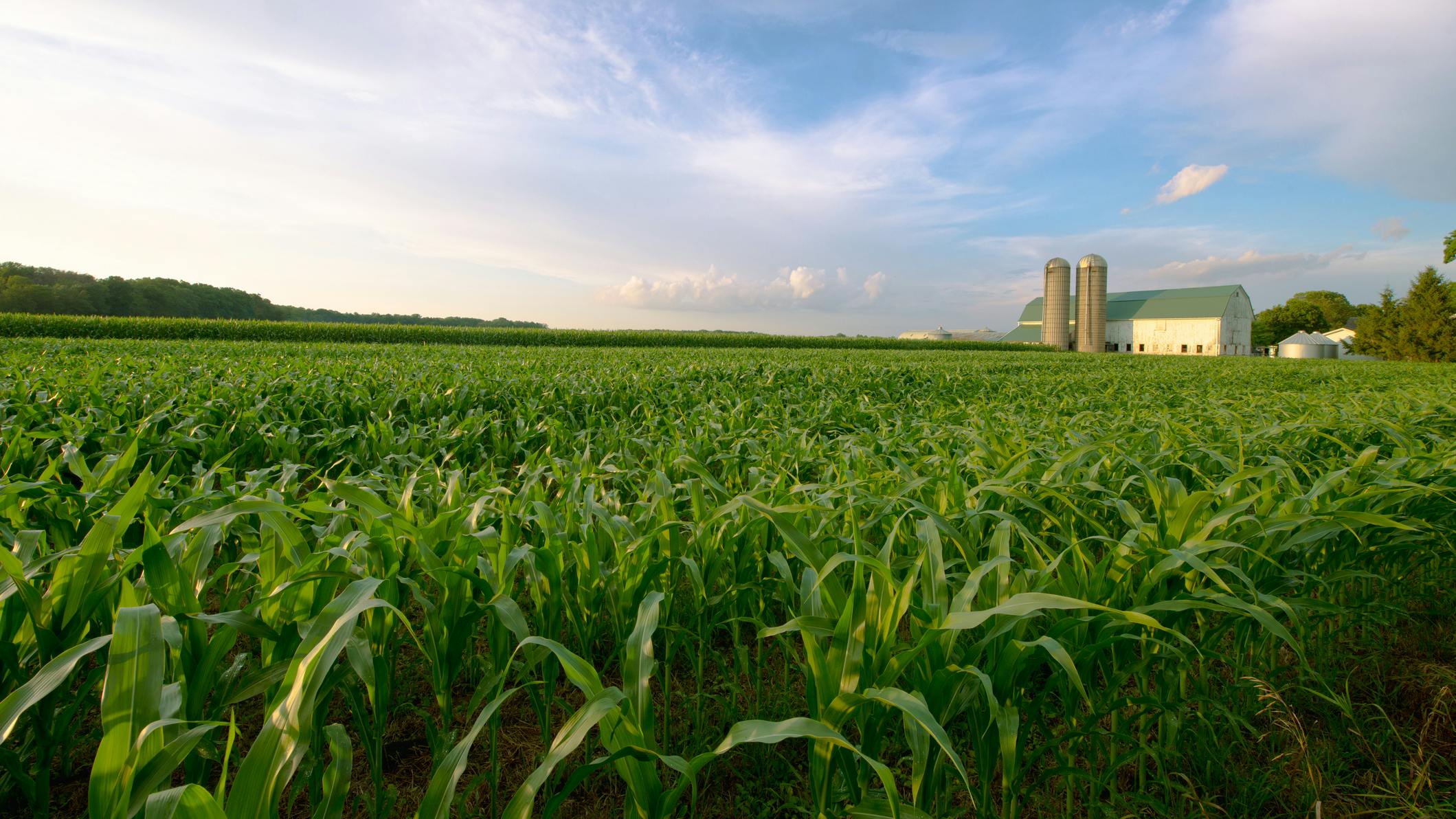 Carbon credits in wastewater management